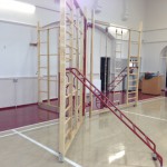 Spectrum frame with ladder support
